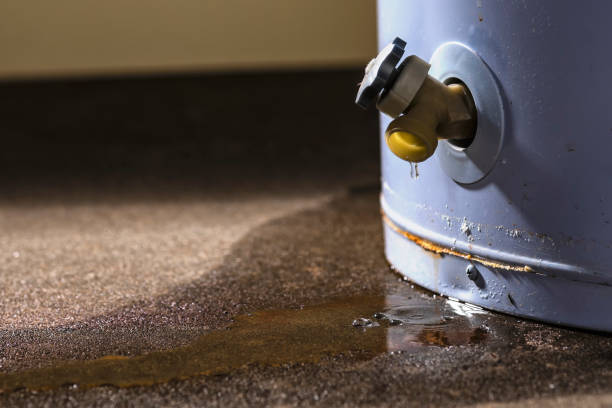 Best Water damage restoration near me  in Wellsville, MO