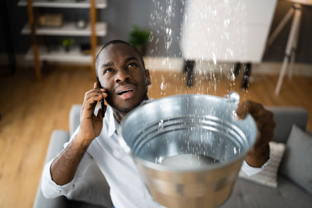 Best Basement water damage restoration  in Wellsville, MO