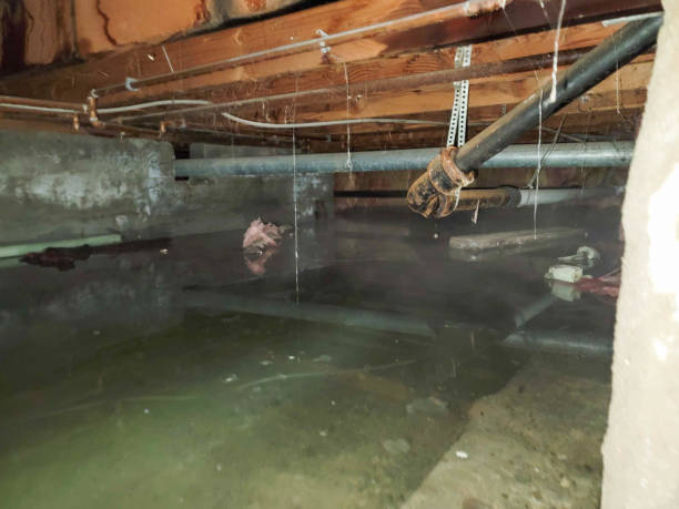 Best Emergency water damage restoration  in Wellsville, MO