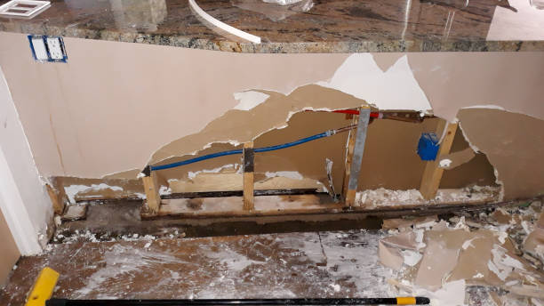 Best Professional water damage repair  in Wellsville, MO