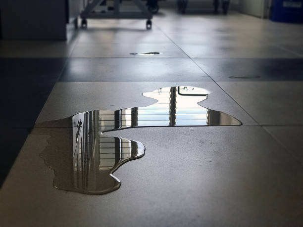 Best 24-hour water damage restoration  in Wellsville, MO