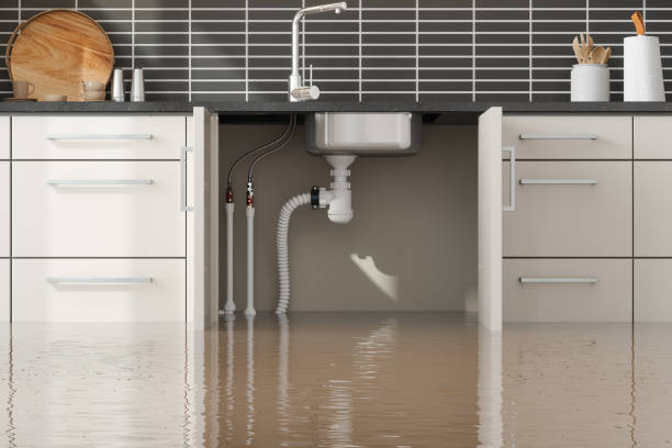 Best Commercial water damage restoration  in Wellsville, MO