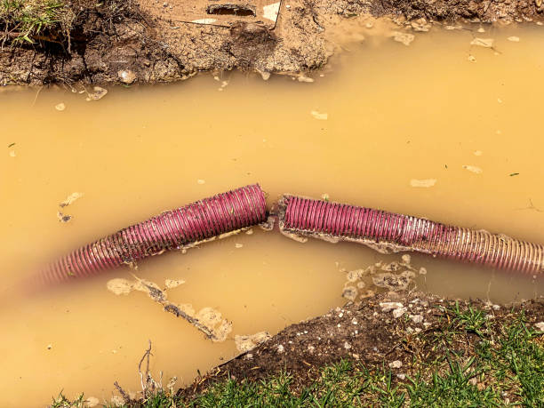 Best Sewage cleanup and water damage restoration  in Wellsville, MO